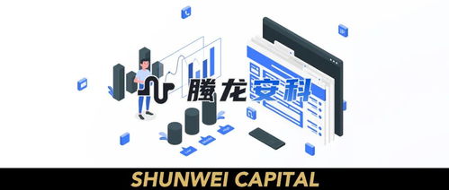 螣龍安科獲數千萬元A輪融資，順為資本持續加碼“順為系”網絡安全布局